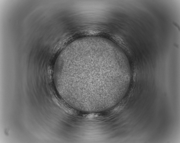 X0000101170366200807251138