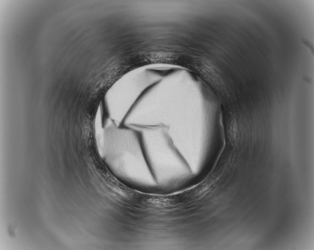 X0000101170367200807251138