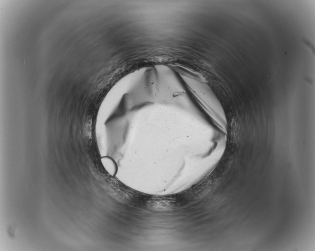 X0000101170368200807251138