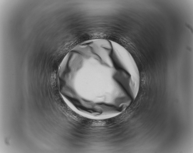 X0000101170369200807251138