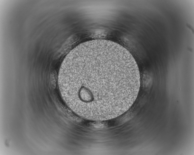 X0000101170370200807251138