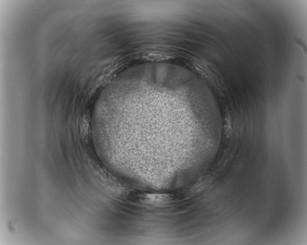 X0000101170371200807251138