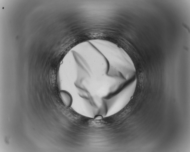 X0000101170372200807251138