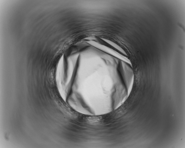X0000101170373200807251138