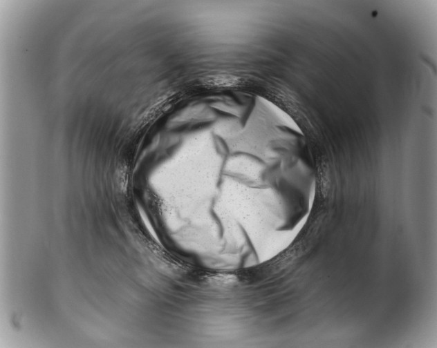 X0000101170374200807251138