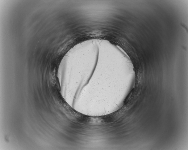 X0000101170376200807251138