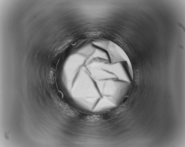 X0000101170378200807251138