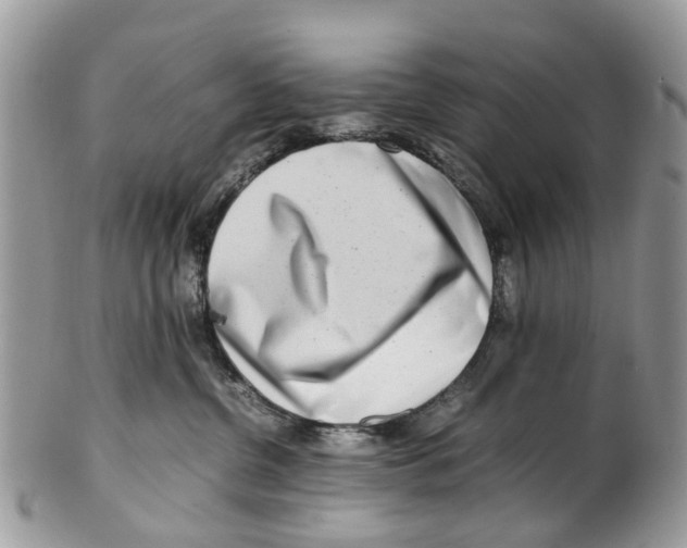 X0000101170380200807251138