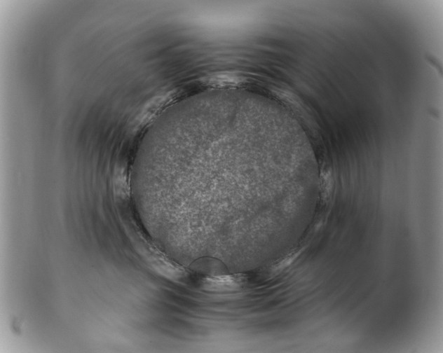 X0000101170381200807251138