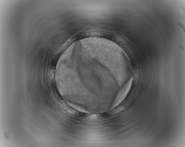 X0000101170382200807251138