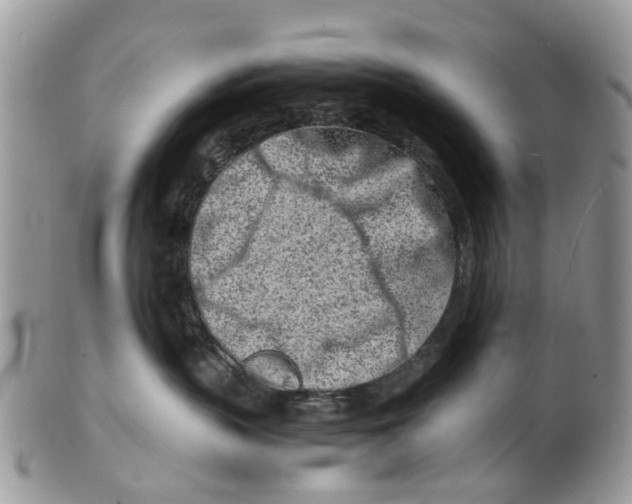 X0000101170383200807251138
