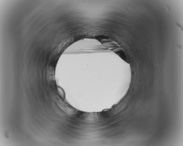 X0000101170384200807251138