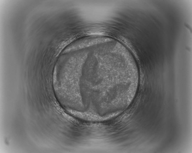 X0000101170385200807251137