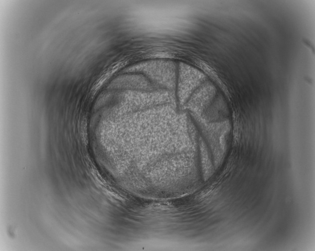 X0000101170386200807251137