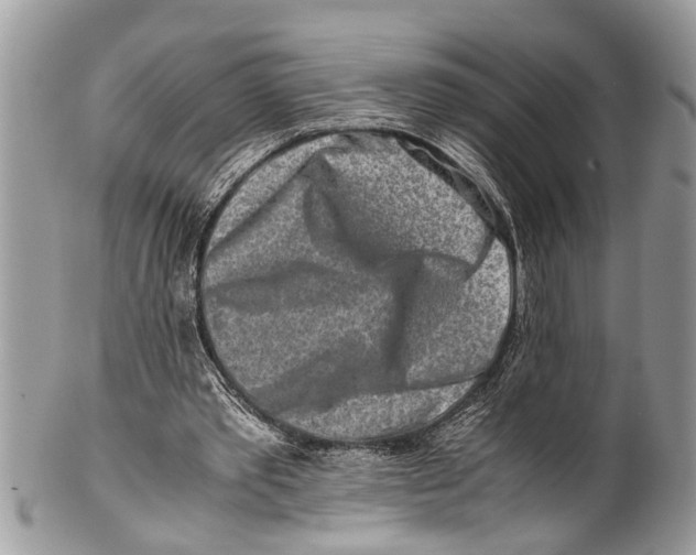 X0000101170389200807251137