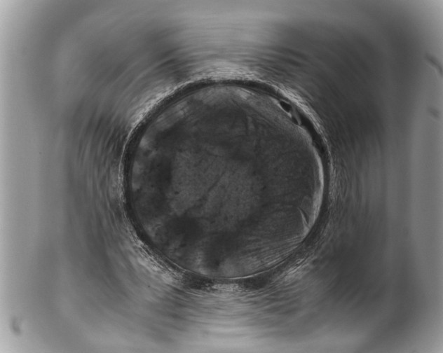 X0000101170391200807251137