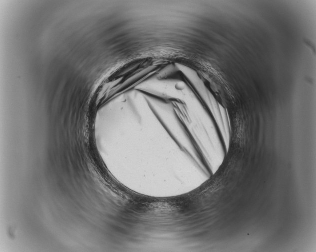 X0000101170392200807251137