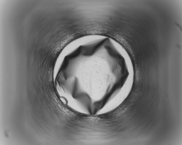 X0000101170393200807251137