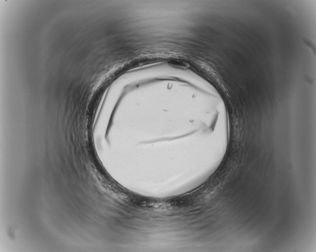 X0000101170395200807251137