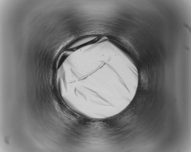 X0000101170396200807251137