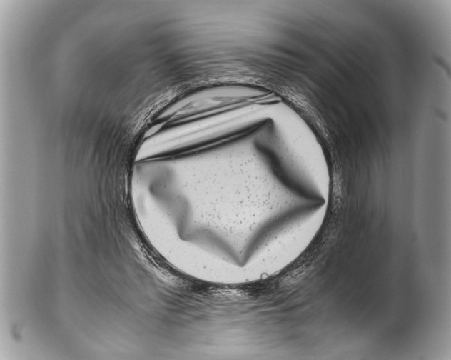 X0000101170397200807251137