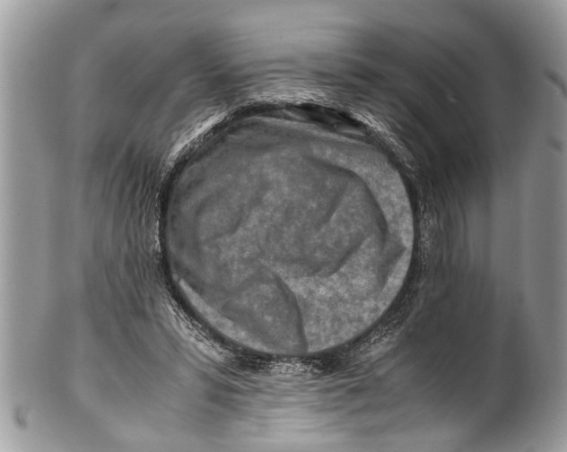 X0000101170399200807251137