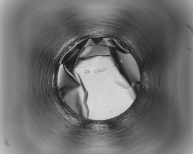 X0000101170400200807251137