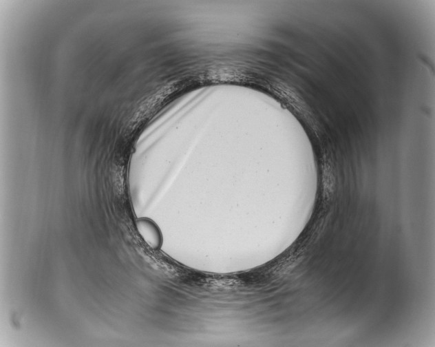 X0000101170401200807251137