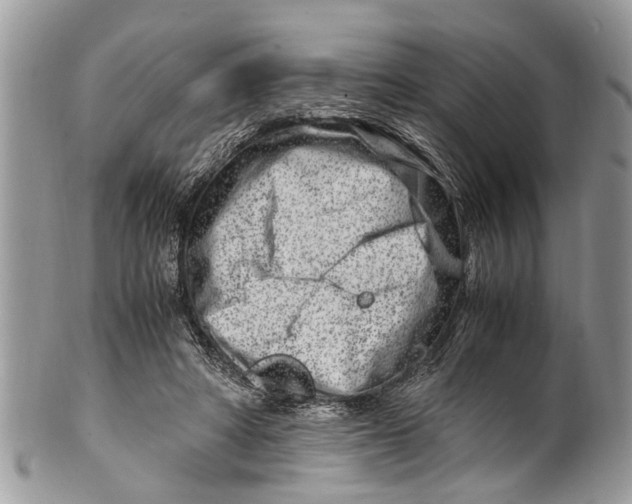 X0000101170402200807251137