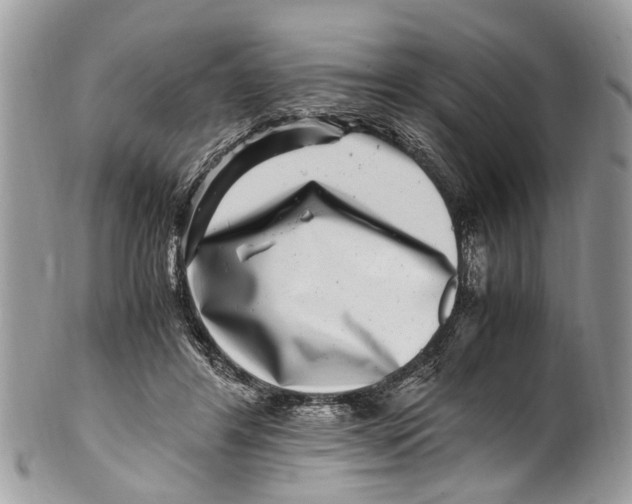 X0000101170404200807251137