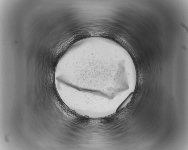 X0000101170405200807251137