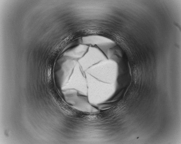 X0000101170406200807251137