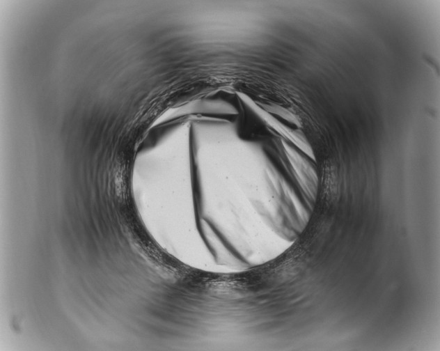 X0000101170408200807251137