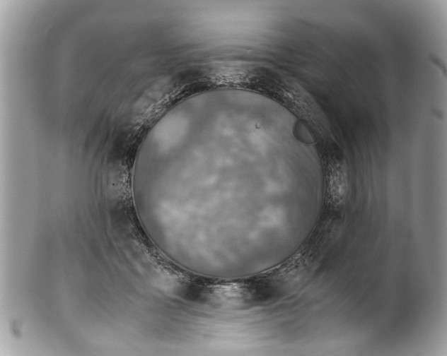 X0000101170411200807251137