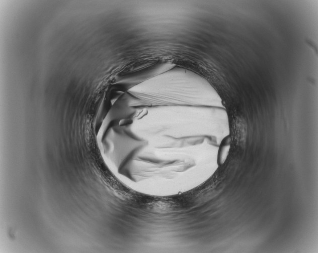 X0000101170412200807251137