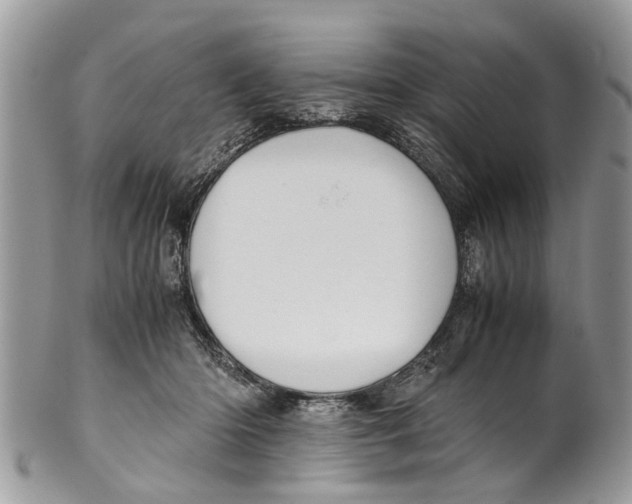 X0000101170414200807251137