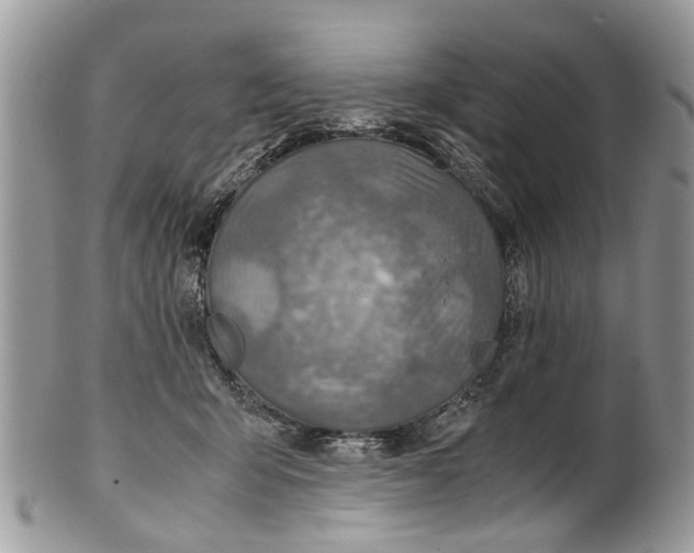 X0000101170415200807251137