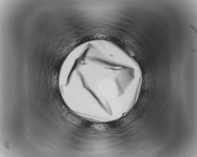 X0000101170417200807251137