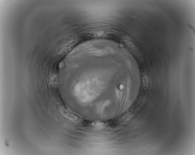 X0000101170419200807251137