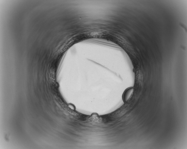X0000101170421200807251137