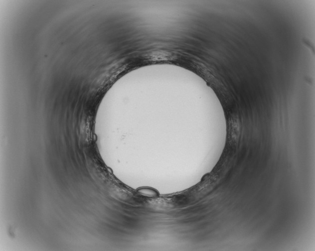 X0000101170422200807251137