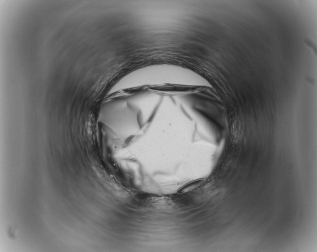 X0000101170424200807251137