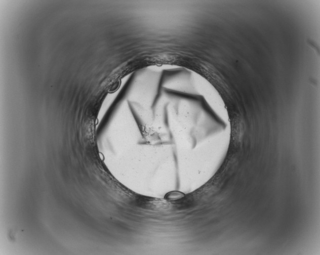 X0000101170425200807251137