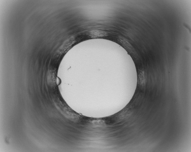 X0000101170426200807251137