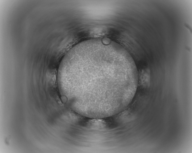 X0000101170427200807251137