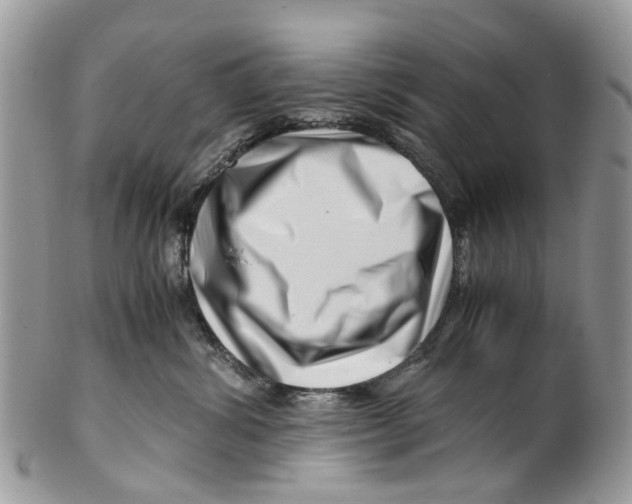 X0000101170428200807251137