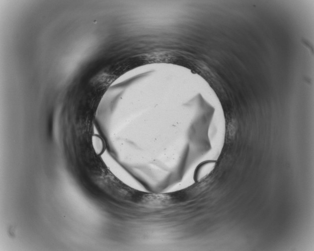X0000101170429200807251137