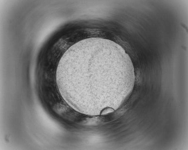 X0000101170430200807251137