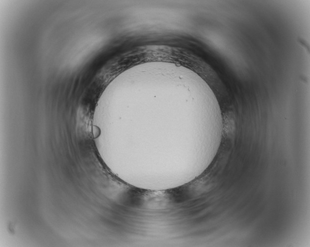 X0000101170431200807251137