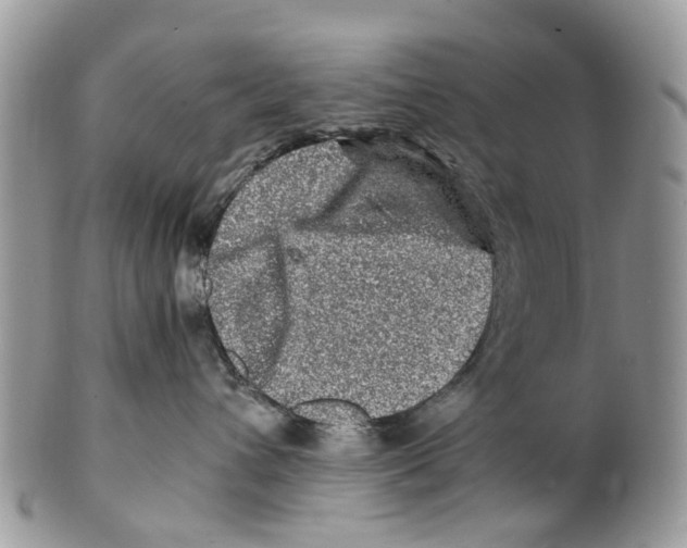 X0000101170432200807251137